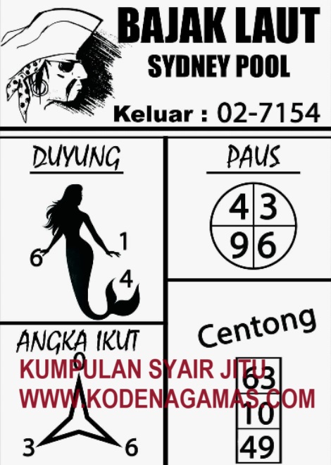 SYAIR SDY VIP